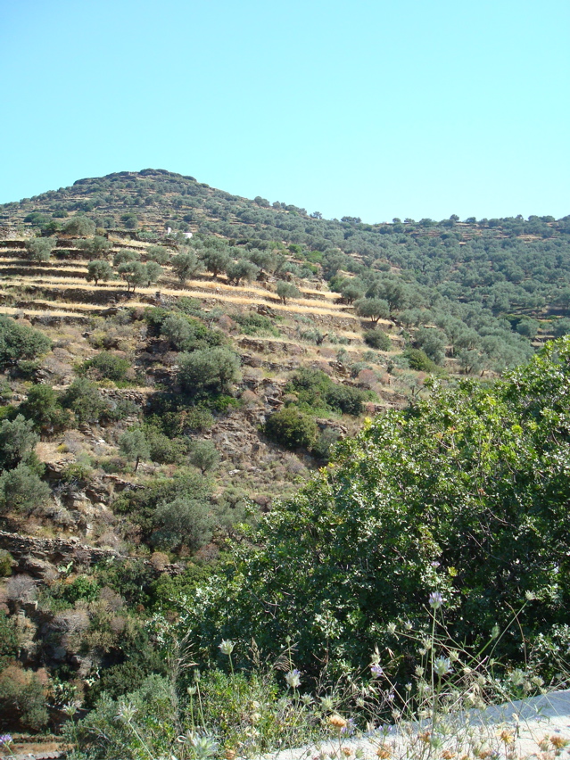 Sifnos/Appolonia-Artemonia