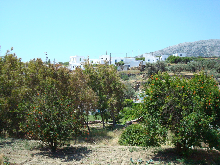 Sifnos/Appolonia-Artemonia