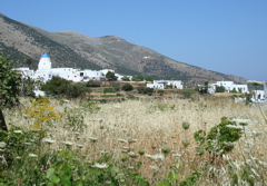 Sifnos/Appolonia-Artemonia