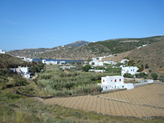 Sifnos/Pharos