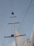 transat2 - 40